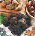 Fiera Internazionale Tartufo d'Alba