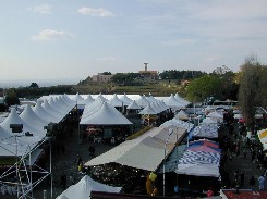 Foto 405 FIERA DI GROTTAFERRATA